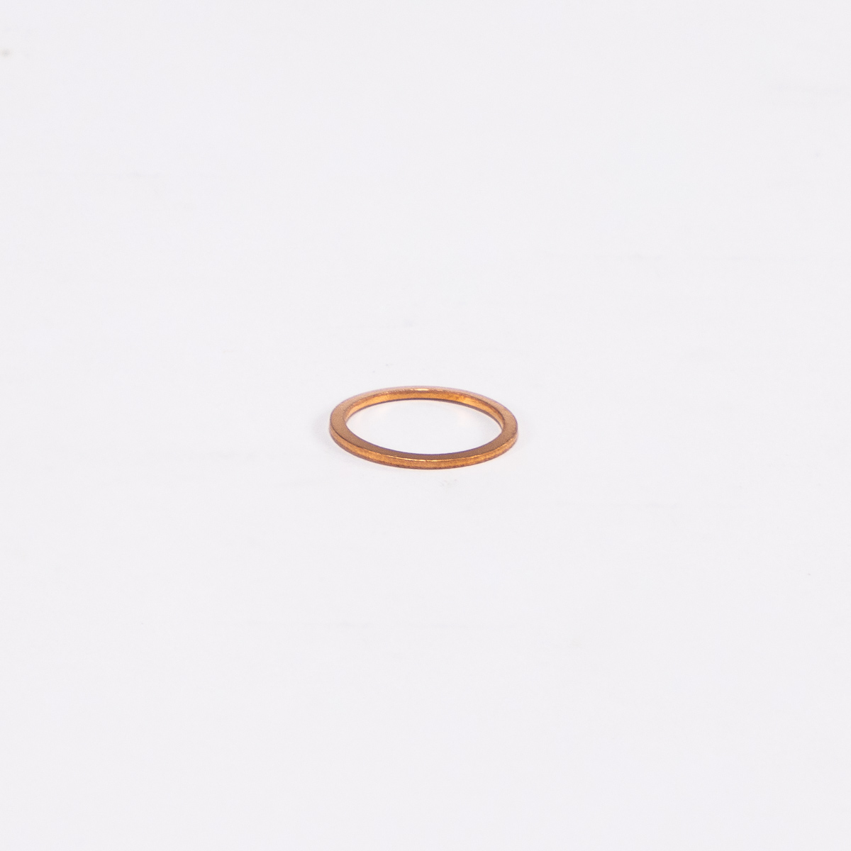 Dichtring