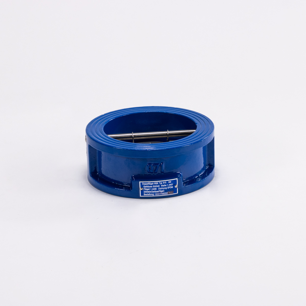 check valve DN100