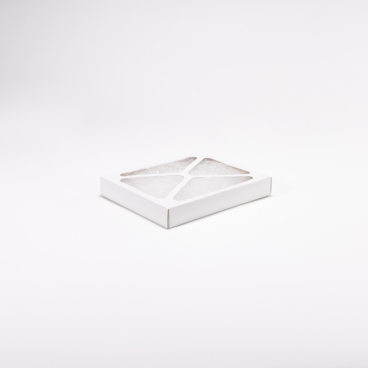 Luftfilterzelle 304 x 250 x 45